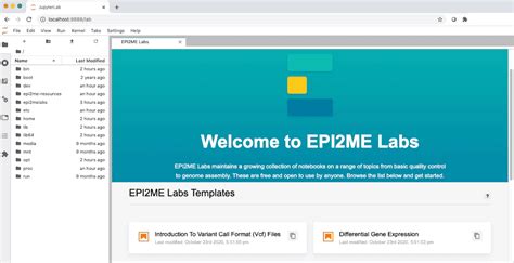 Follow their code on GitHub. . Epi2me labs